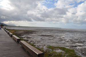 58. Cairns does not have a beach, but it does have a lovely boardwalk...