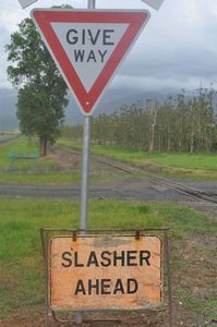 72. At least they warn you on Queensland's roads what dangers lurk ahead!