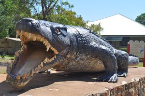44. A massive croc - this is apparently life sized!