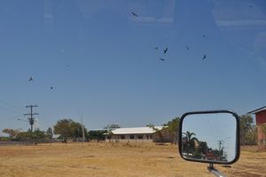 46. The town of Normanton, where we stopped to stock up on provisions, was so bleak. I thought the circling raptors quite appropriate