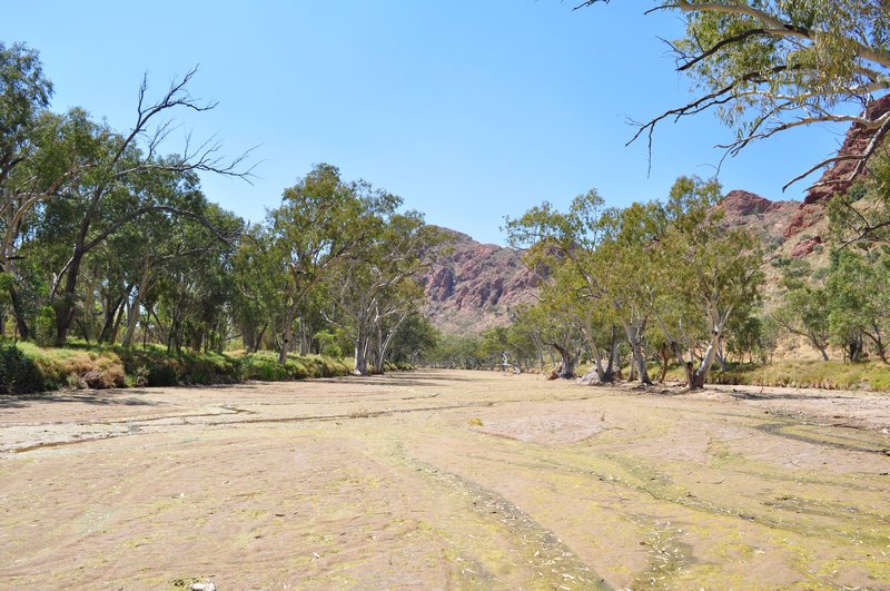 101. A deceptively dry river bed in the East Macdonnell Ranges