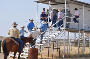 30. Cowboys registering for the campdraft and rodeo