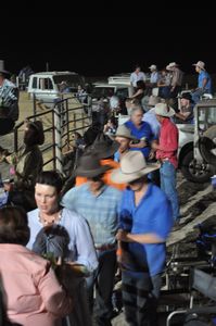 47. The evening rodeo, a very social occasion