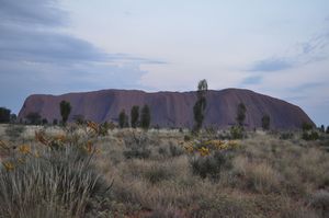 77. Uluru at sunrise