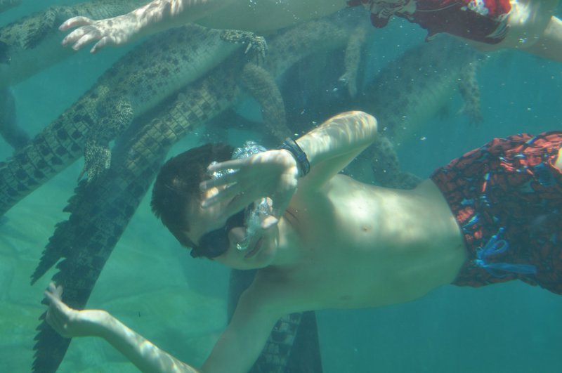 3. Oliver swims with the crocs!