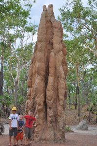 37. A giant termite mounds