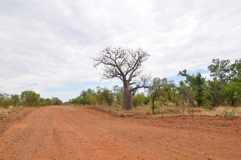 2. Gibb River Road, not nearly as bad as we had anticipated