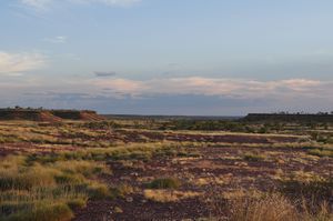 45. The road to Fitzroy Crossing