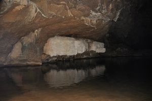 71.Tunnel Creek, interesting limestone formation