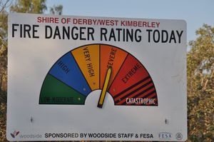 81. I love these signs - we have driven past a few when they have signalled Extreme (but interestingly, while we were in Alice with all the bushfires, the danger was only rated as severe!