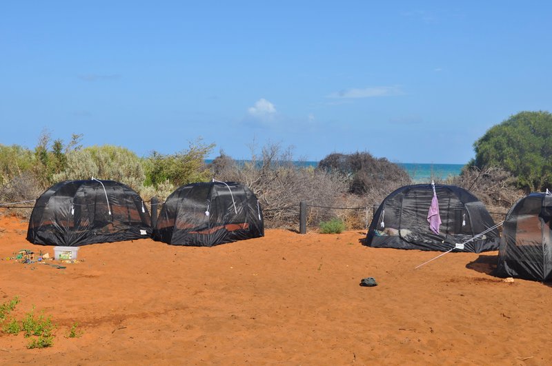 6. Our camp at Francois Peron National Park, all alone for three days (and very dirty)