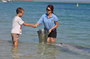 39. William gets a chance to feed a dolphin