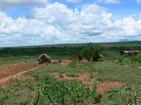 Rural Tanzania