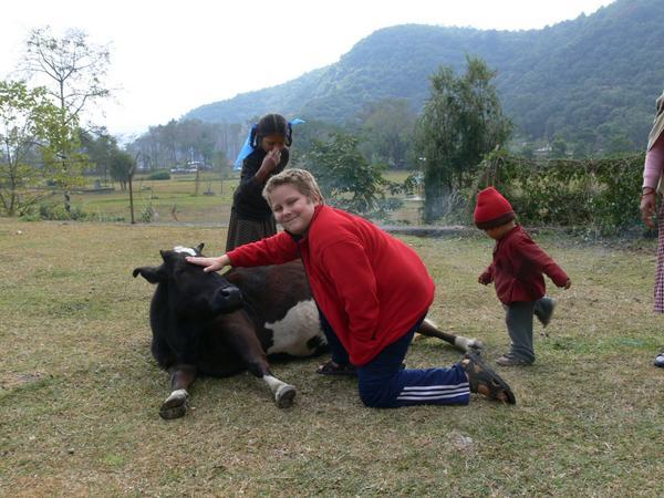 No one else pets the cows except us Canadians, the little Nepalese boy seems more interested in kicking him