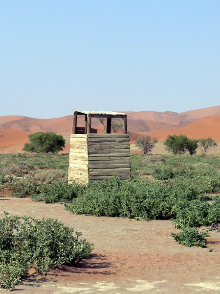 Toilet in the desert where the wasps fly up your butt when you are trying to go