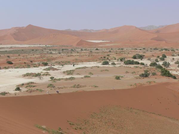 Top of Sossusvlei - the land before time