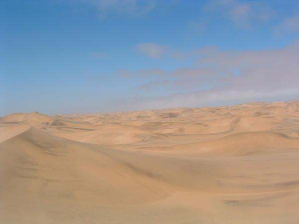 I climbed a dune by myself and this is what I saw....