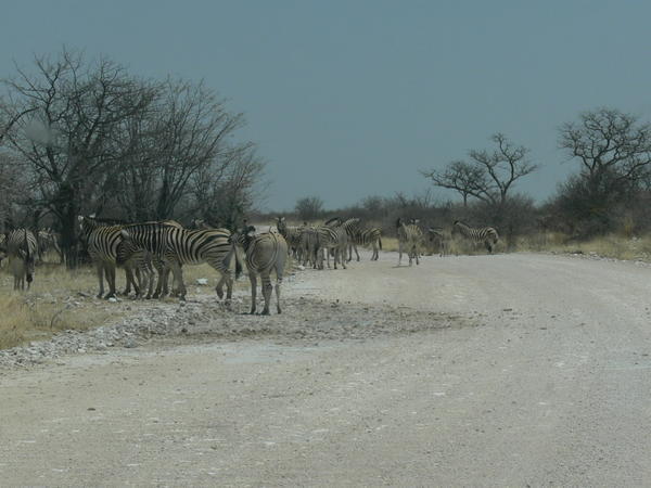 Road block - African style
