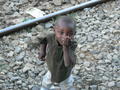 This little boy was so cute - I blew him kisses and he blew them back.  One of the best parts of Africa