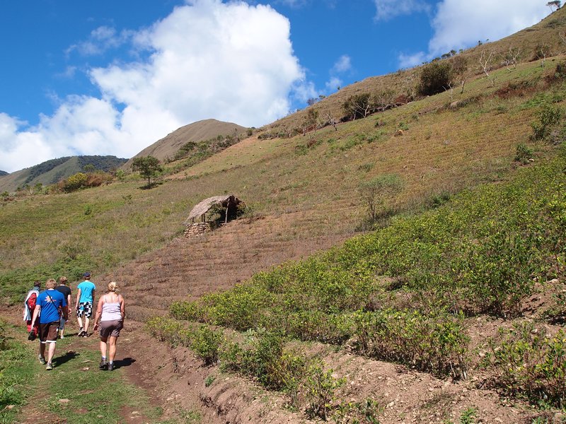 Hiking Past Coca Fields to the Falls