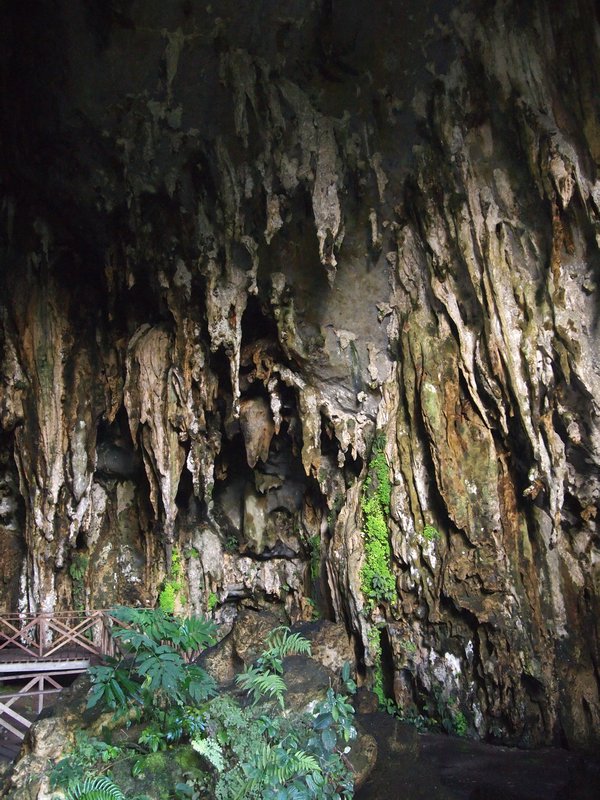 Cave of the Owls