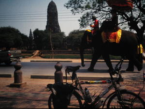 Bikes and Elephants