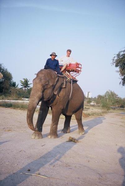 Rory's elephant adventure