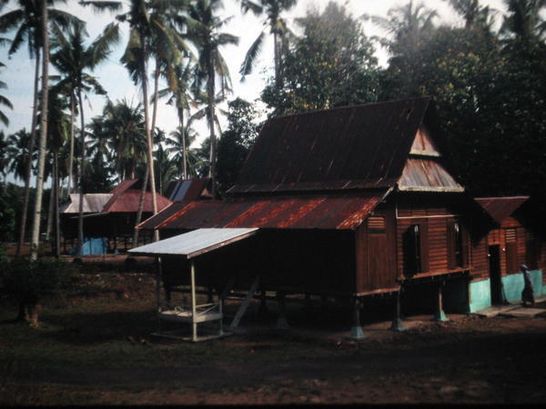 Traditional Houses