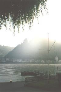 Misty Rhein.