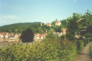The Neckar.