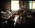 Bikes in Rooms