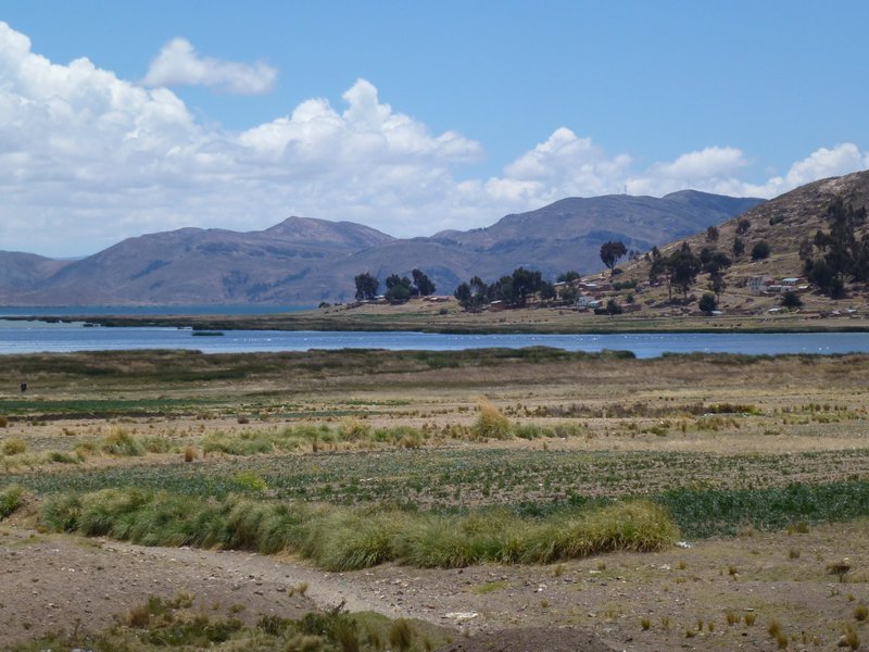 Near Huarina, Lake Titicaca