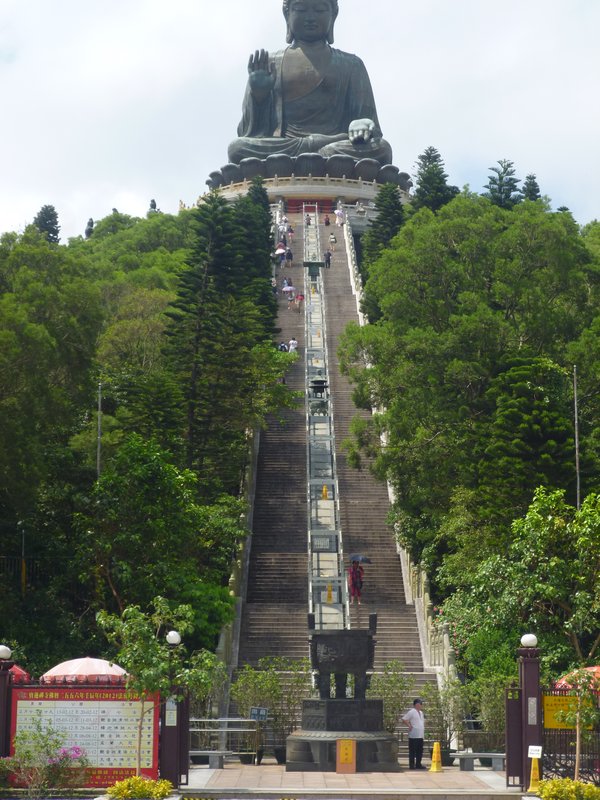 280 ish steps to Big Buddha