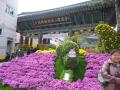 Jogyesa Temple