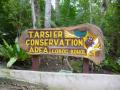 Tarsier Sanctuary