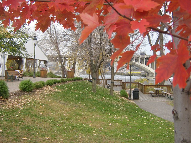 Fall at the park on the river
