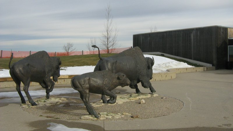 Wanuskewin bison sculpture