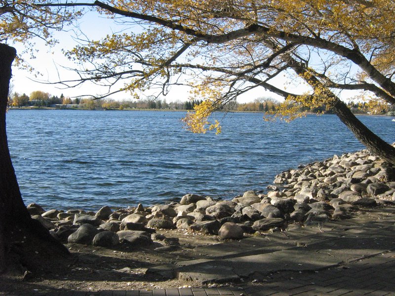 Lake in Henderson Park