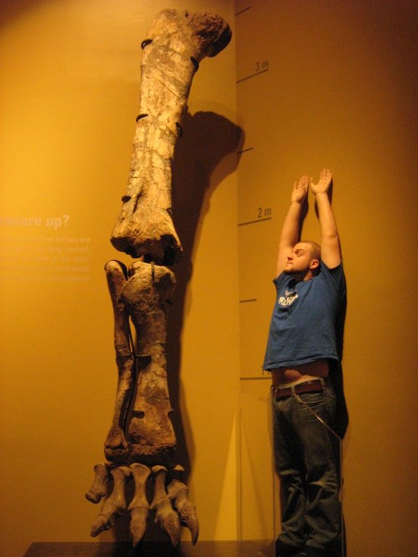 Christian compared to a Bracciosaurs's leg