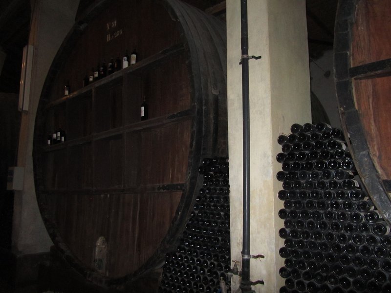 Huge barrels in boutique winery