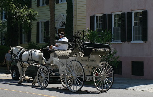 Carriage rides 