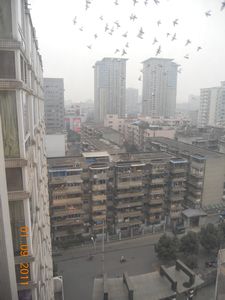 The first morning in Chengdu.