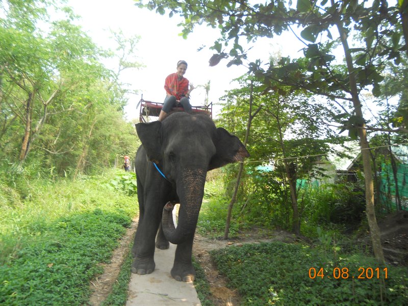 Elephant trekking.
