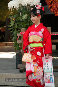 Cute Girl at Meiji-Jingu