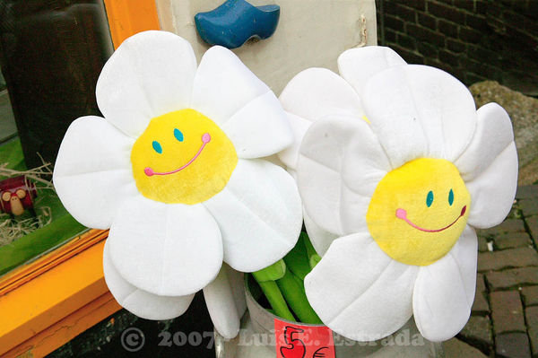 Stuffed Flowers at a Volendam Shop