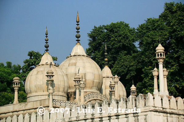 Moti Masjid Domed Rooftop 