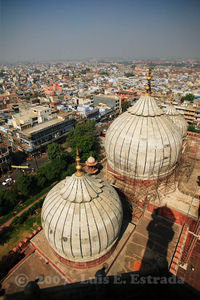 Jama Masjid Domes