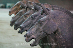 Terracotta Cavalry