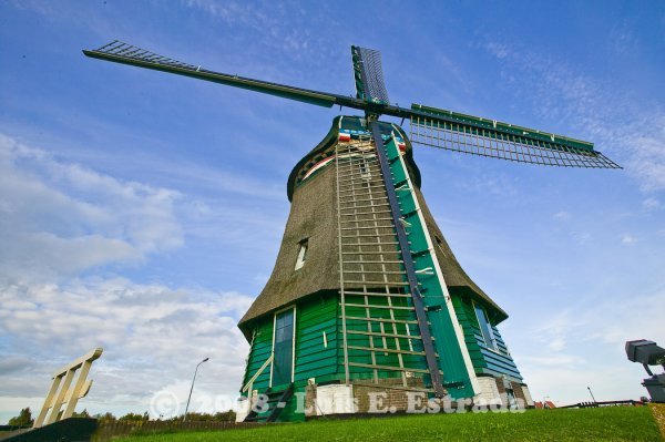 Close Up Windmill