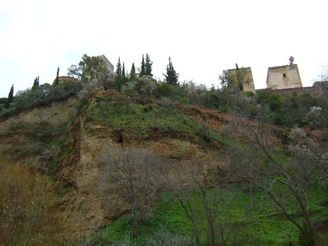 Alhambra wall